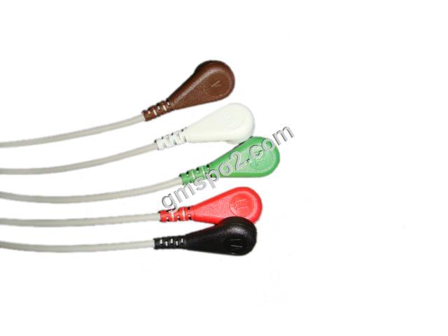 5-chì aha snap-.jpg